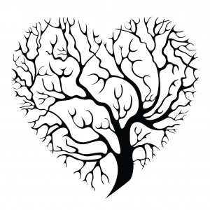 Heart Tree | The Branches, Arteries & Blood Flow of Merlin MCC