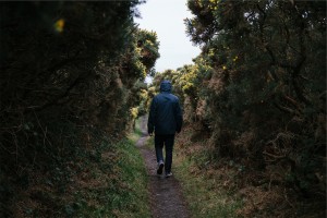 Merlin CCC |  Why a Walk in the Park is Good for Our Brains