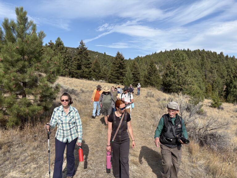 On Story & Meaning: Experiencing the World through an Intepretive Lens